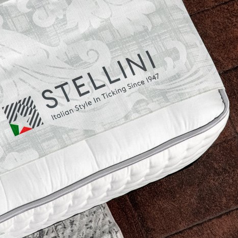 STELLINI